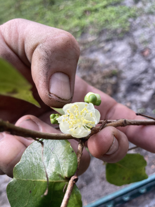 C8E1B7EB-9FC1-4397-A5B2-DDF388CA9749