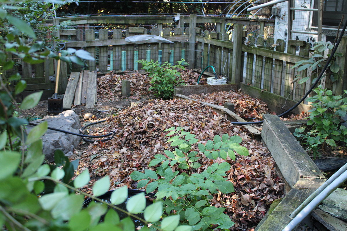 IMG-4248.jpg