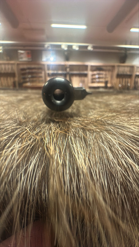 processed-2FB4042E-C71C-4FE2-B190-D7E8CCA2C7E2