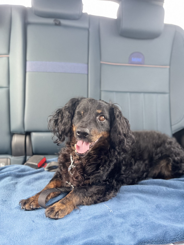 [Image: IMG-0880.jpg]