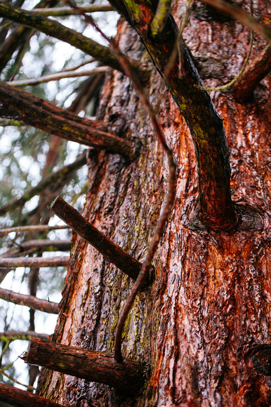 20210217_IMG_1571_matte_no_resize