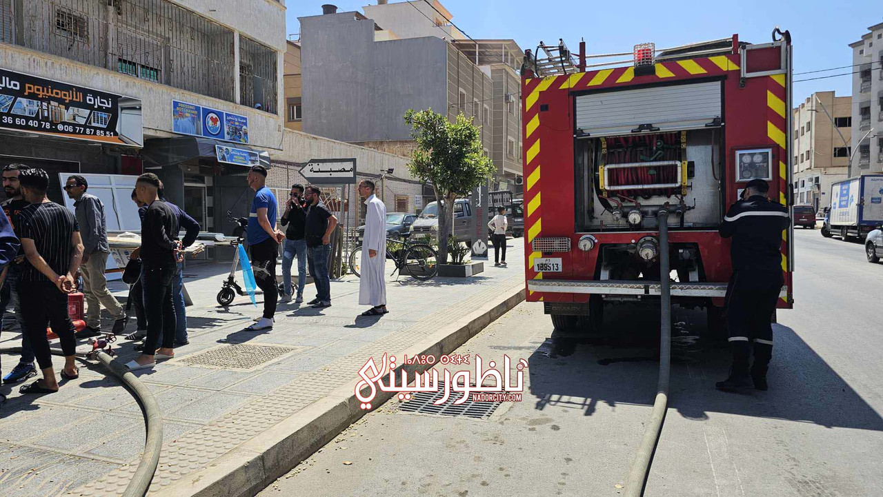 494859638-1009602781358774-2978922724993147285-n