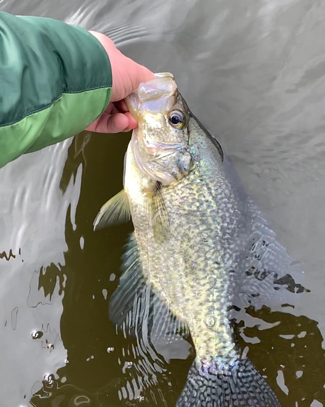 1C1D7575-2F33-4D8F-9160-F68B38493680