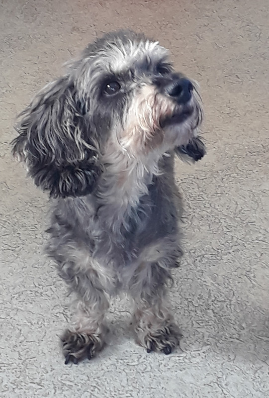 [Image: 20200710-190816.jpg]