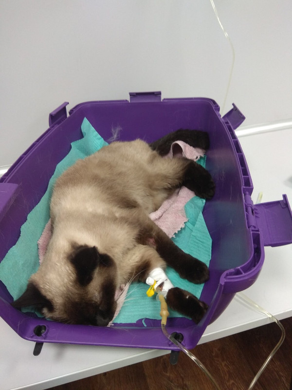 E66BE179-7EE8-4300-A52B-B83A598F8C6F