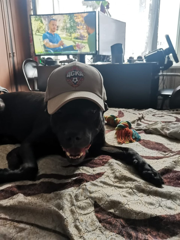 6857032F-B19A-4ABD-AE77-4174BEF45D01