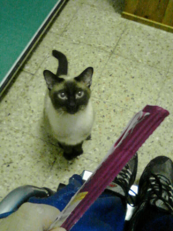 immag0335-001_001-001_002-001(1)