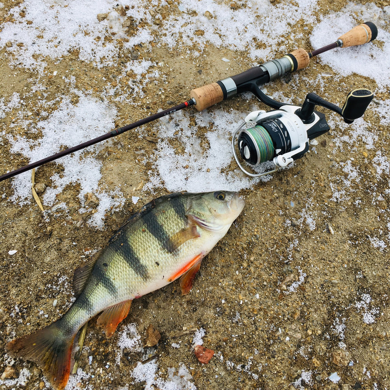 0F69121C-3E73-4EF7-B20F-764B7B934F55