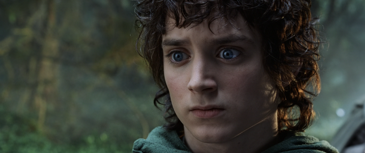 The Lord of the Rings The Fellowship of the Ring (2001) EXTENDED (1080p Bluray AV1 Opus) [NeoNyx343]