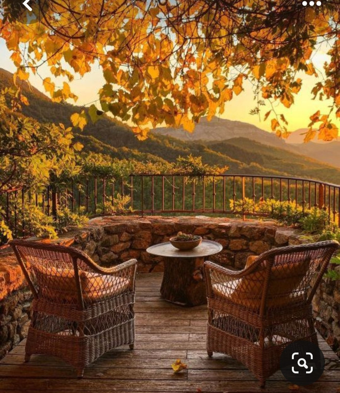 Screenshot_20230901_213523_Pinterest