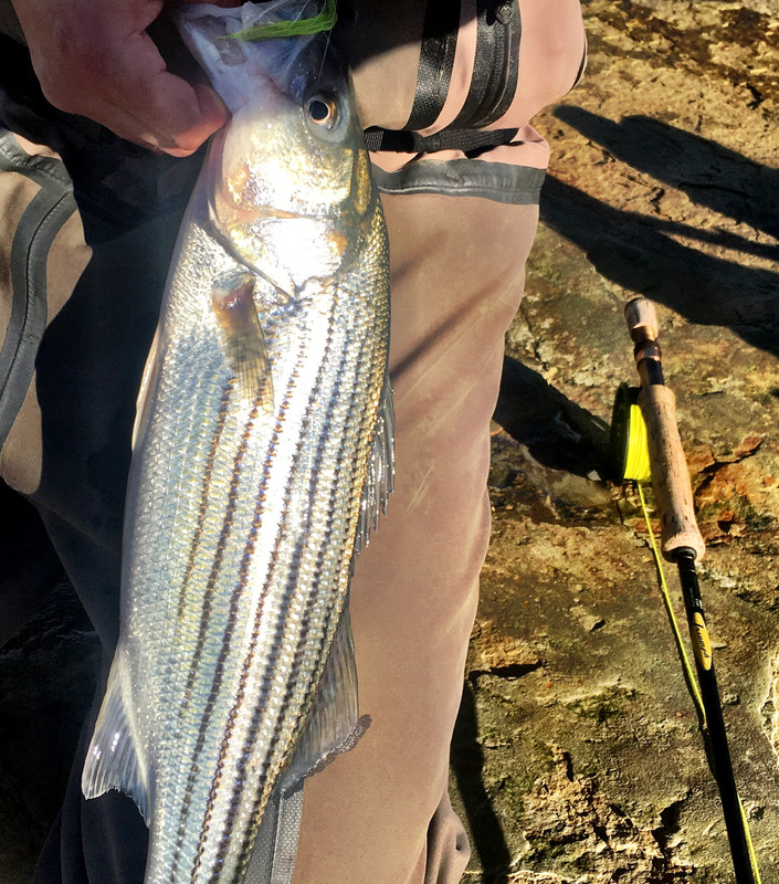 F3620CA0-2FC6-4396-9122-A1CEB8715EB9