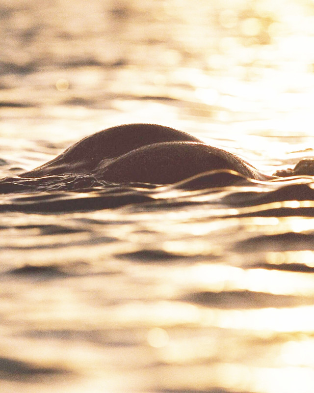 imgonline-com-ua-Osvetlenie-rySv6o5YiEO2UHs