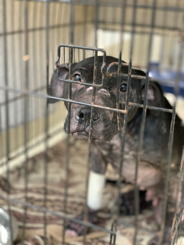 261D0B5D-A3B6-4E3E-BAE0-EE6A40E2887B