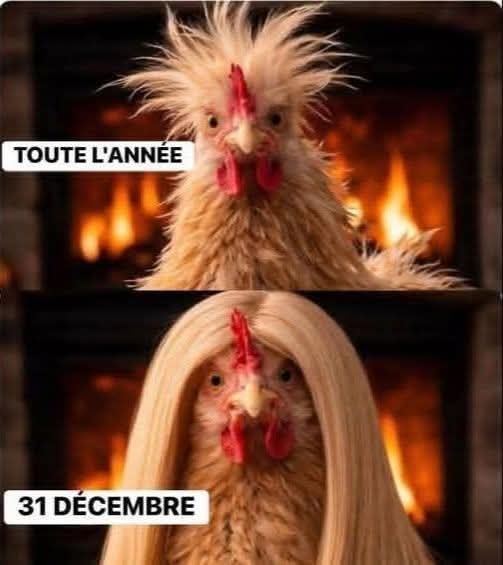 FB IMG 1767193824013