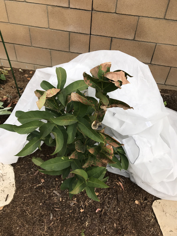 0D1DC83D-CE6E-4C8D-938A-C3FDC1FFE605