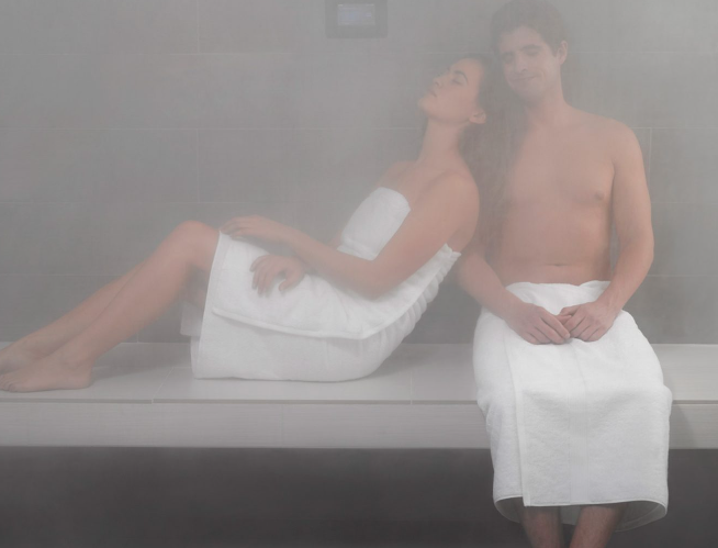 steam generator