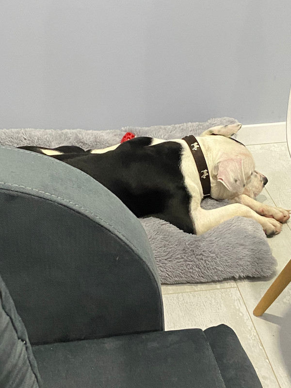 A4956554-1862-4BEB-A593-BFFDAA878B77