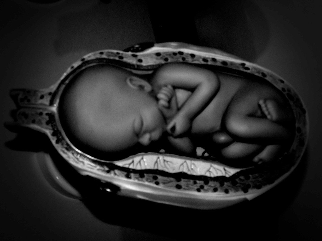 15.4.med school IV(b&w)