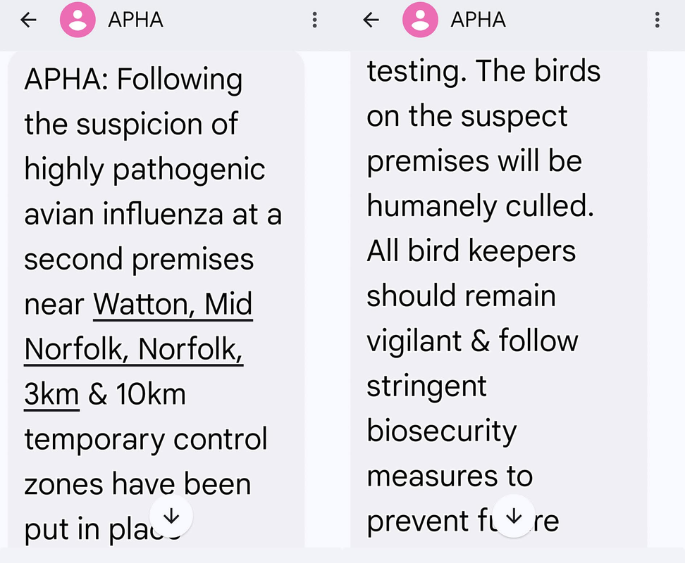 imgonline-com-ua-twotoone-f-Un7-KJ3ju9-M