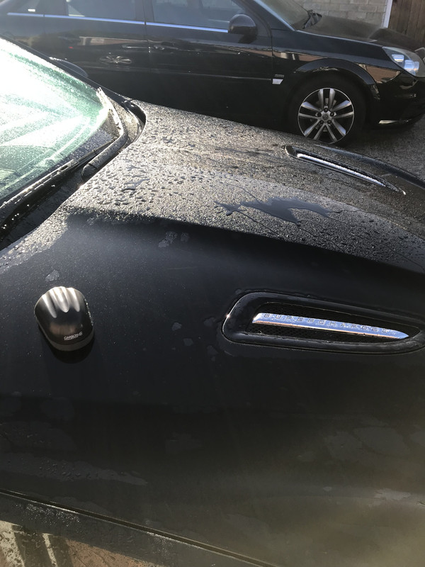 AFD7BCE0-C668-4B41-BC2F-13AD92CB03EA