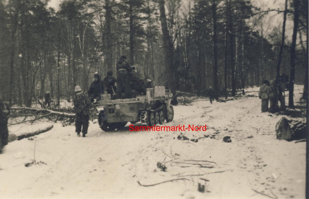 Foto 194344 Ostfront, SKIJÄGER Regt., Halbkette mit Geschütze-Lafette