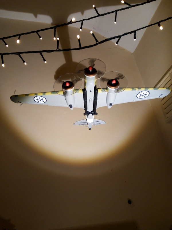 16701877772644649791530160903687