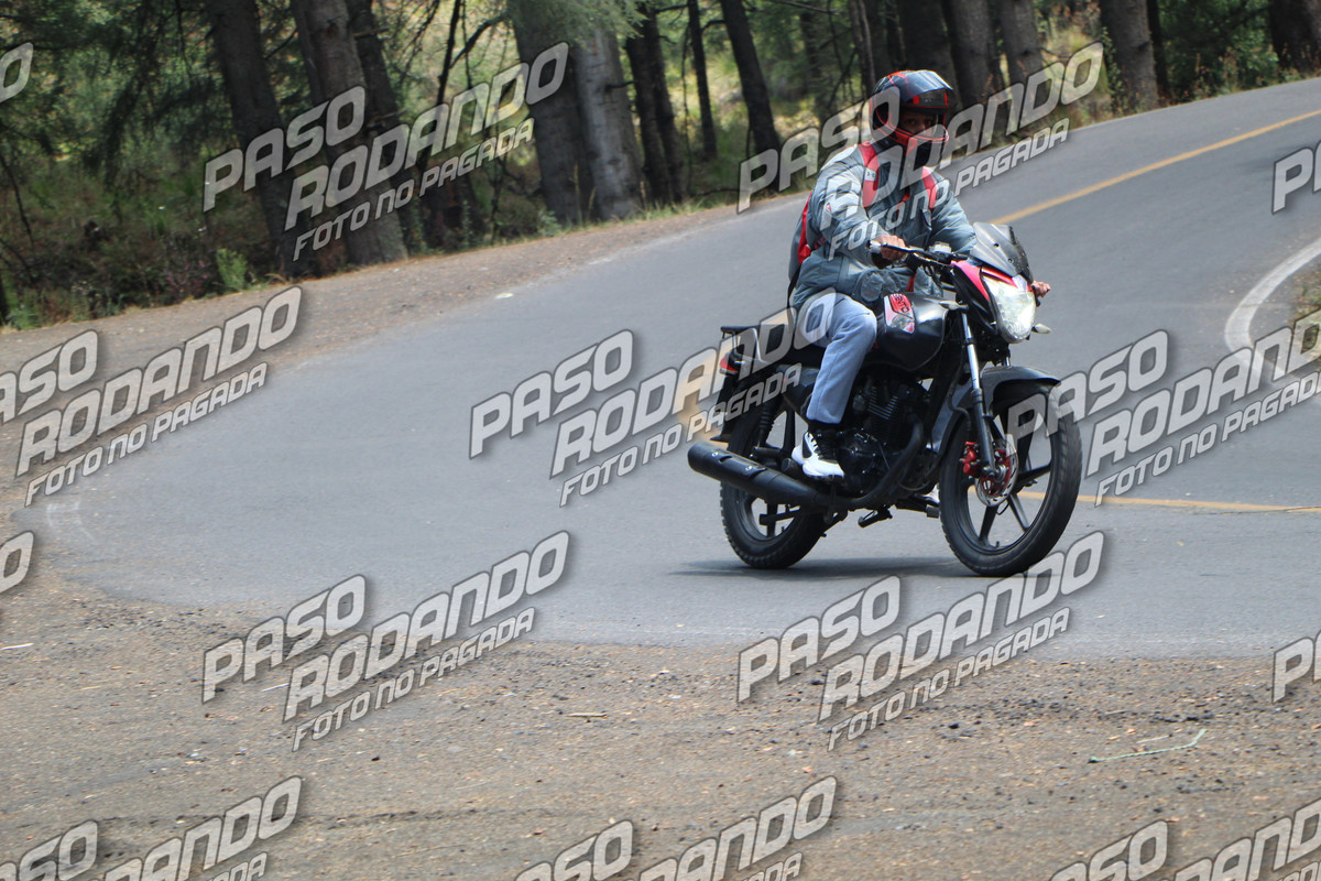 IMG 0726 wm 1895804 1 watermarked — Postimages