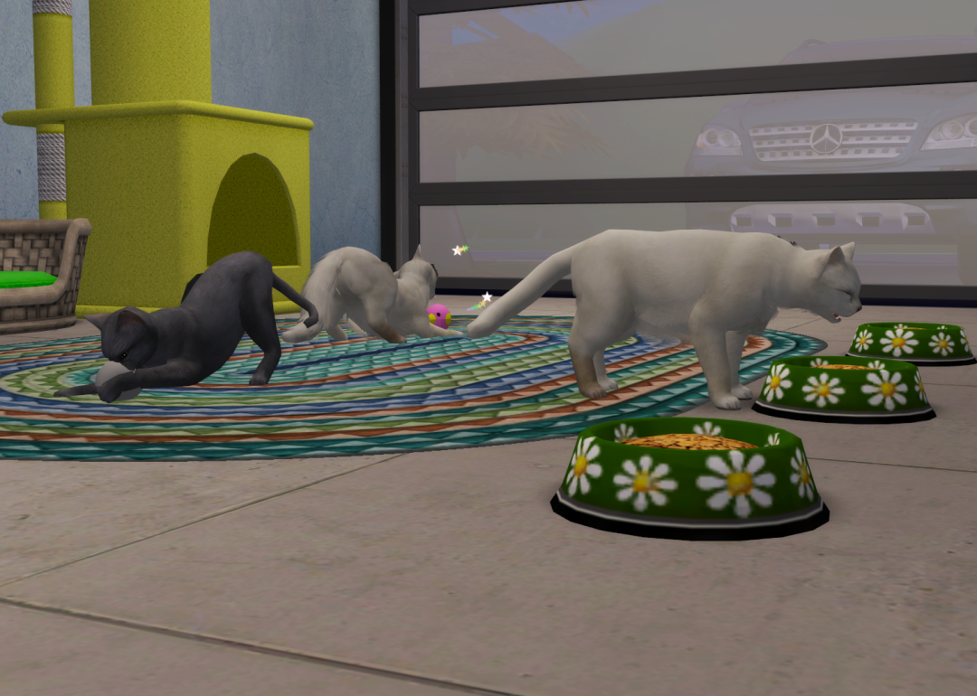 Sims2-EP9-RPC-2023-06-09-20-22-02-66