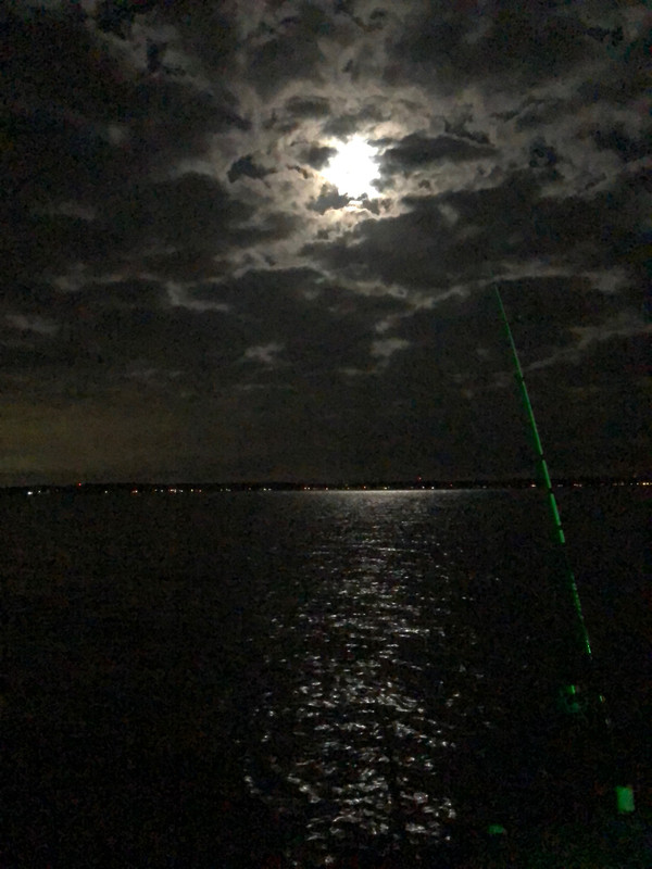 9FF204D5-E84C-4297-9EF6-802D78C2A5C4