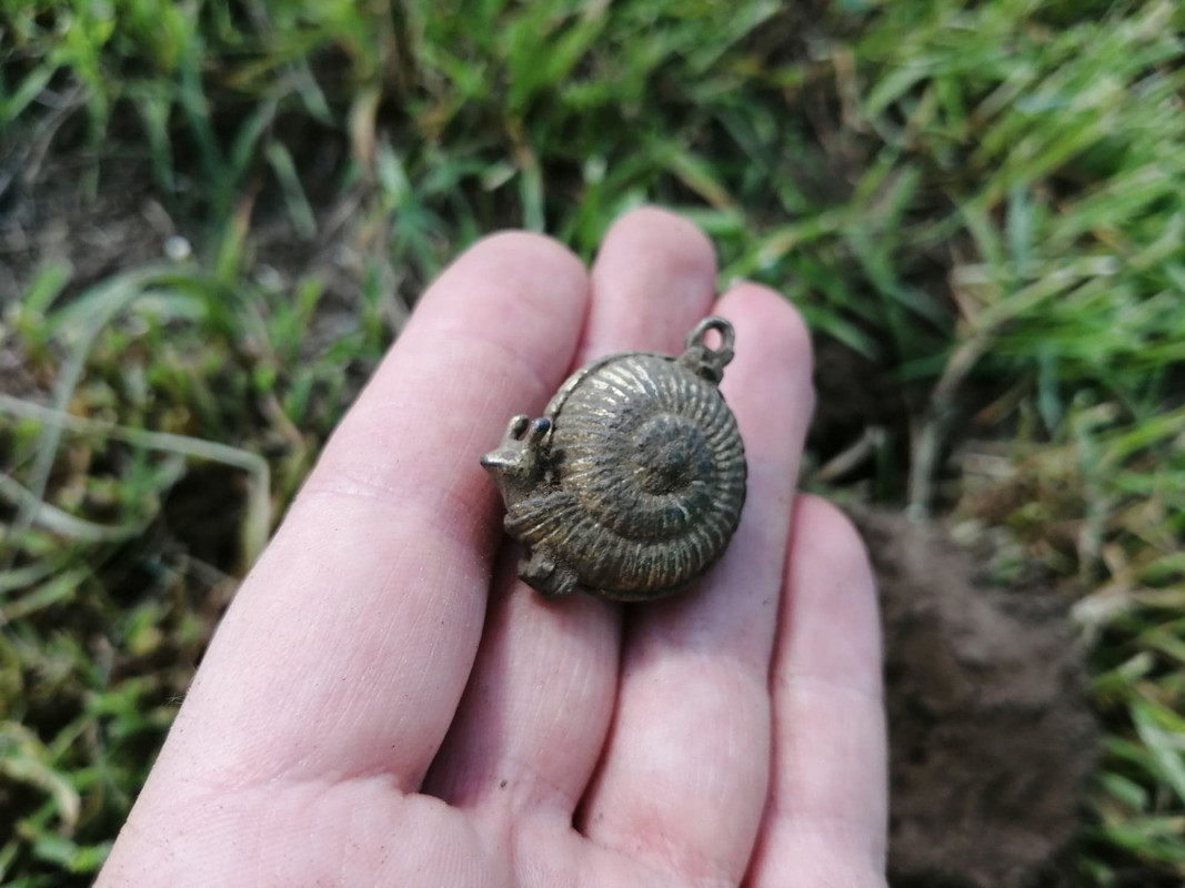 104028461_257976048765665_1075556089875209841_n