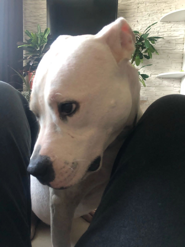 2E40FE9D-F7A2-4128-B012-A5D4E8FAB104