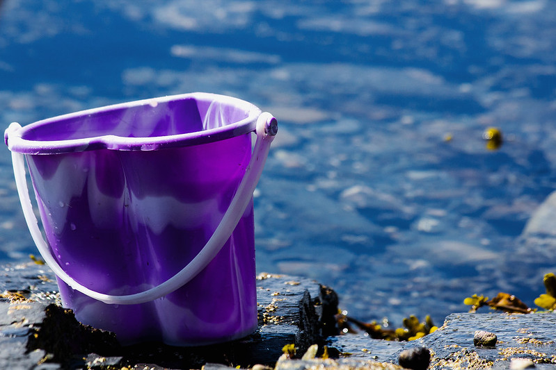 purple-bucket.jpg