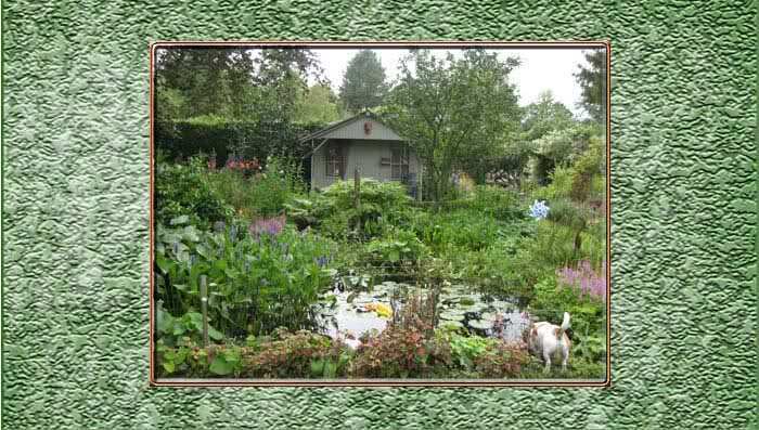 DE-SIERTUIN-IN-AUGUSTUS