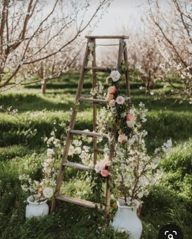 Screenshot_20230408_004130_Pinterest