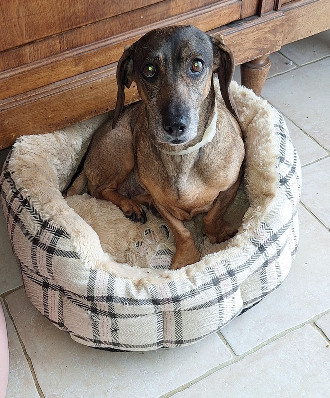 [Image: 20240820-104809.jpg]