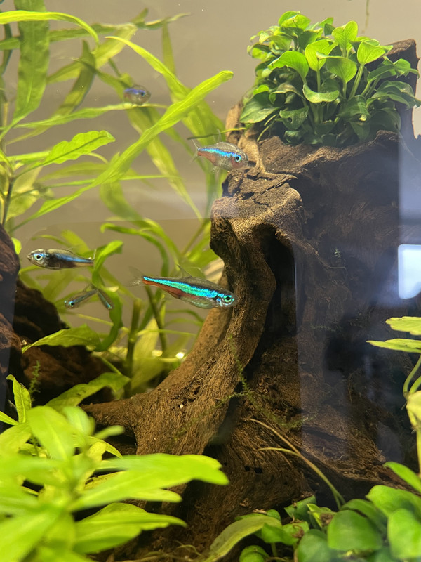 31857A94-3CC9-4658-AC8B-3307BBDB1144