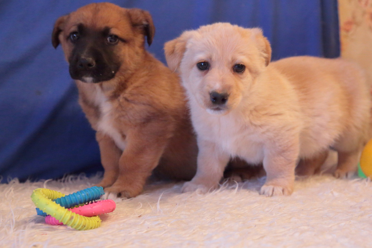 BDC5E996-2D56-474D-88E0-2B2E7E2409E1