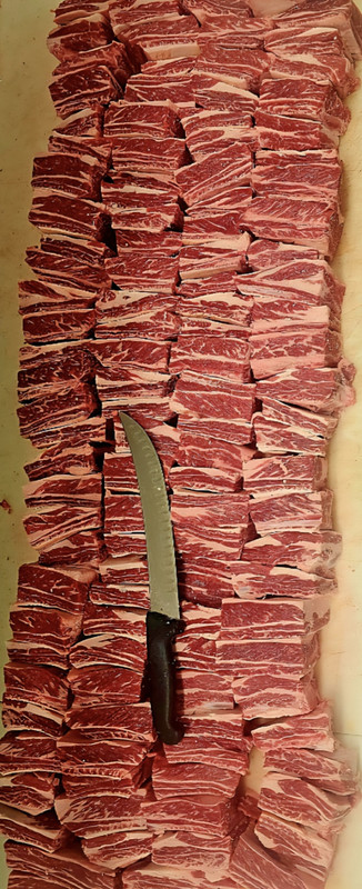 Screenshot 20260226 194557 Gallery