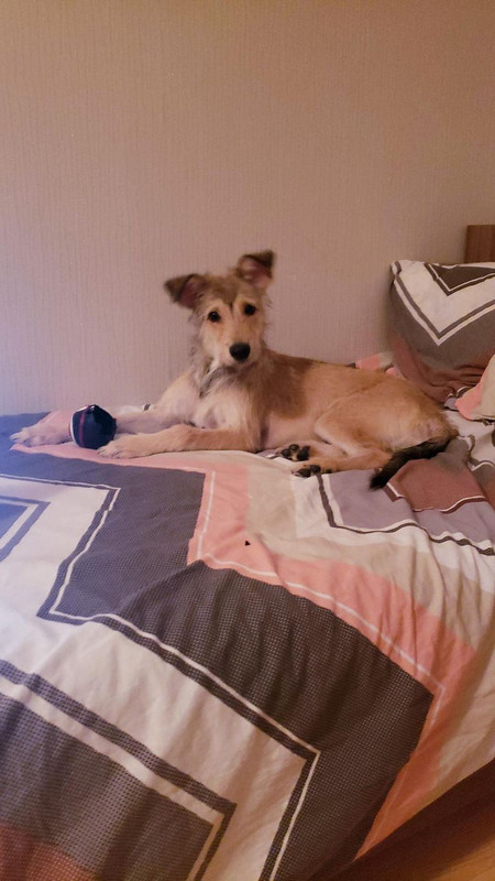 BDEAA2BA-CC7D-4887-A56E-A7B2B27C56D4