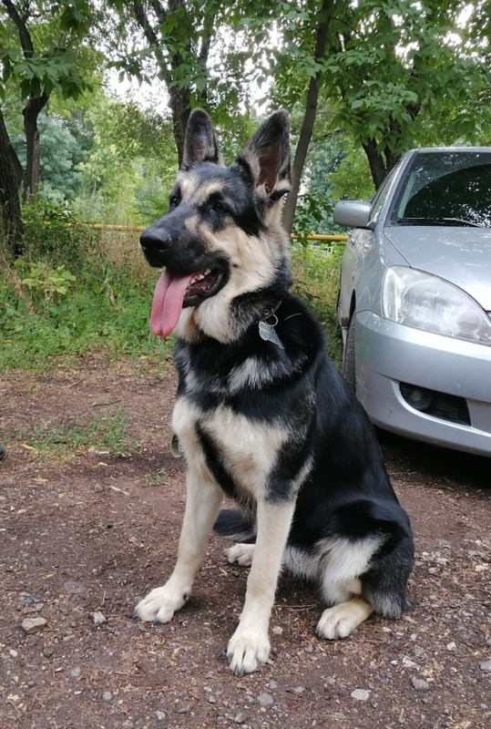 CyzoXhvYMwmwRvrX7ZW79ug1E7y2K5k-aRvPBq7uAZ3d0_0z7VcG82SGFx3SjVKdJrfyYmCfhEnHCXG428KRWR9Y