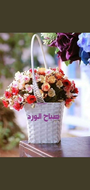 Screenshot_٢٠٢١٠٥١٠-١٣٣٠٤٠