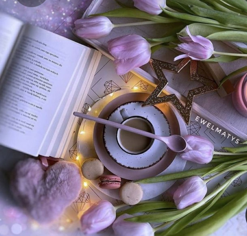 Screenshot_20230220_003431_Pinterest