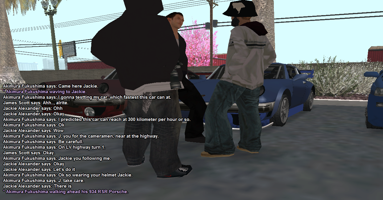 SS-3.png