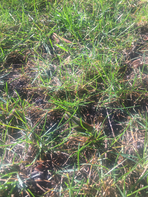 32E2F3DA-FD35-4CB7-90BD-92D4745C7EF6