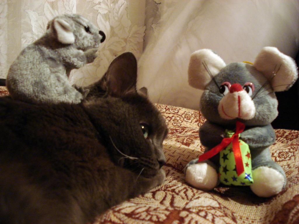 DSC09858.jpg