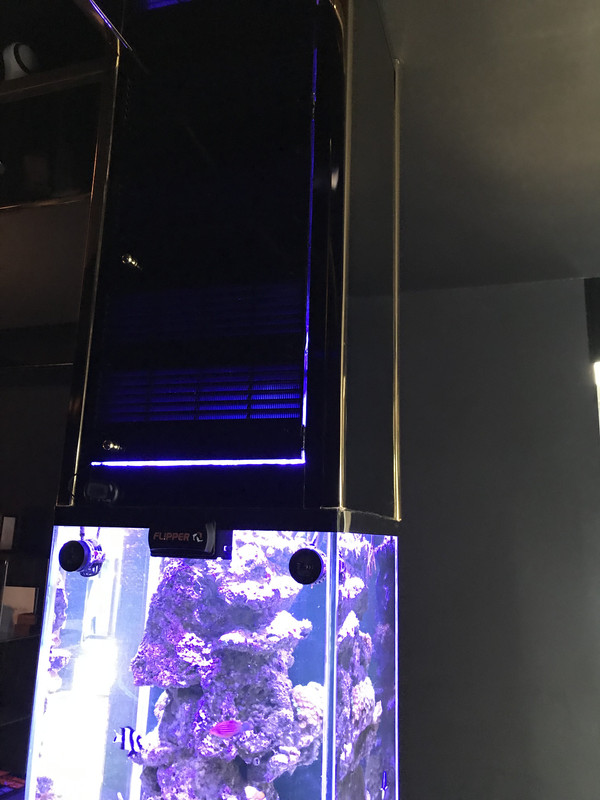 A27736CA-B453-4B6C-A386-49C1E851AD4B