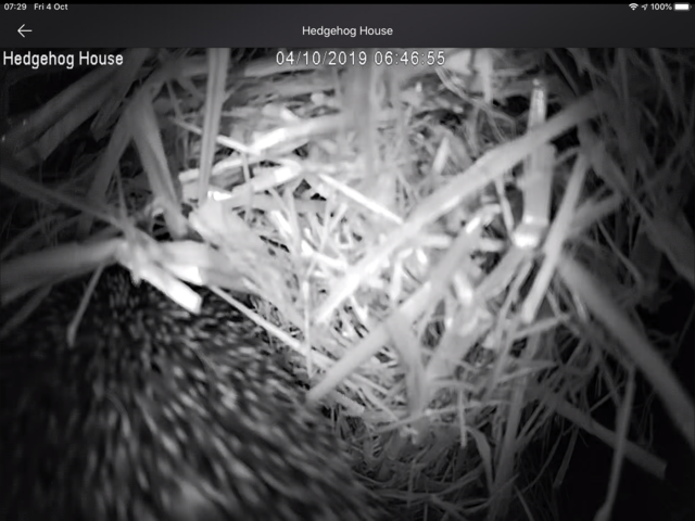 DB43B738-0A5D-4CBA-9499-0E4F5218A817