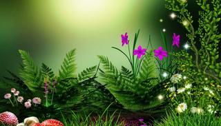 Thơ Hay Ngắn Trích Đoạn Trong NHẤT LANG THƯ QUÁN Hd-nature-flower-wallpapers-download-nature-flower-wallpaper-hd Thơ Hay Ngắn Trích Đoạn Trong NHẤT LANG THƯ QUÁN Hd-nature-flower-wallpapers-download-nature-flower-wallpaper-hd
