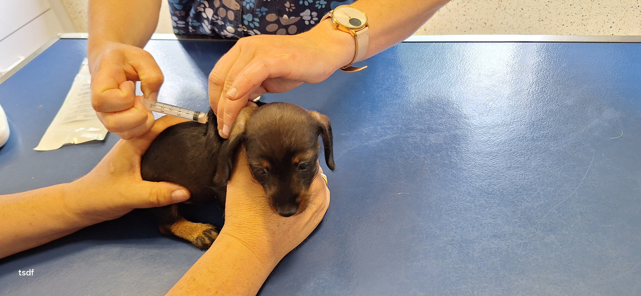 [Image: 20250606-180905.jpg]