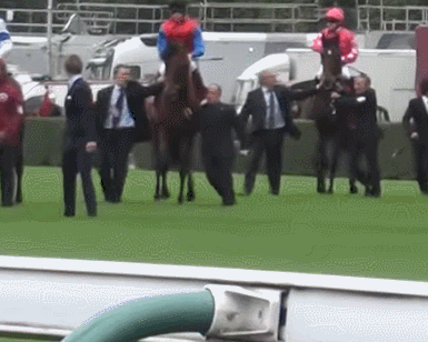 4.gif